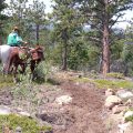 AG Ranch Trail